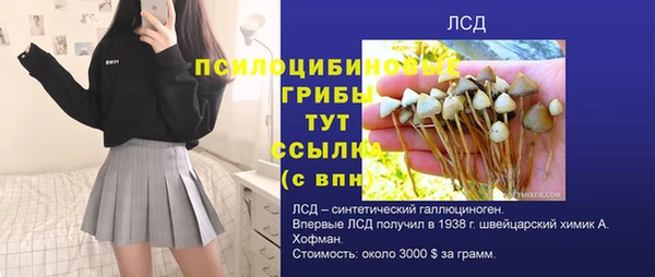 дурь Алексин
