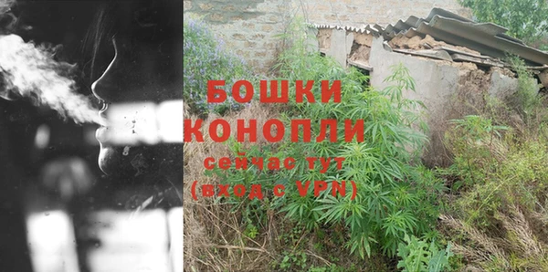 PSILOCYBIN Абаза