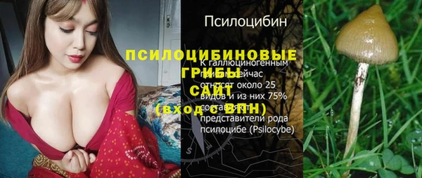 спиды Алзамай