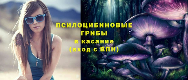 дурь Алексин