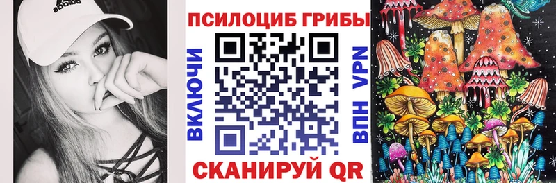 где купить   Почеп  Галлюциногенные грибы прущие грибы 